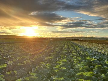 いいじま農園(北海道)-8