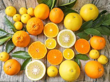 株式会社矢野青果-2