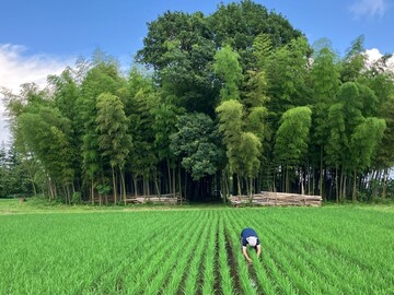 サンアグロ株式会社【東京都:資材輸出営業】-1