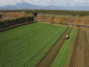 日本甜菜製糖株式会社【北海道:技術支援】-top