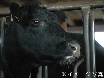 愛知県東浦町×肉牛/法人【32453】-top