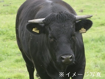 愛知県東浦町×肉牛/法人【32453】-2