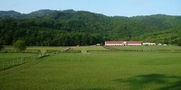 レースホース牧場株式会社