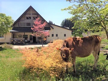 深山ミルクえん-3