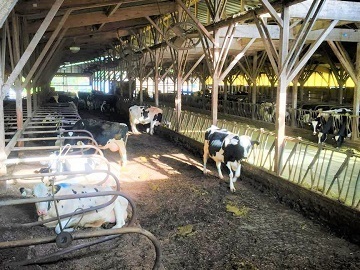 深山ミルクえん-4