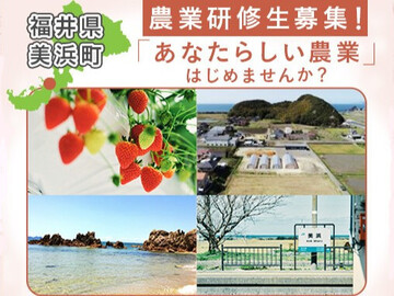 福井県美浜町 農業研修生募集-top