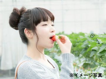 埼玉県・山梨県×事業推進・プロジェクトマネジメント/法人【42980】-1