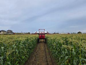 千葉県匝瑳市×露地野菜/法人【36350】-top