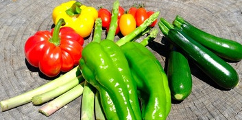 長野県豊丘村 地域おこし協力隊募集