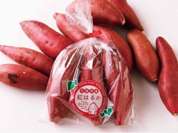 株式会社KOUMAFARM-6