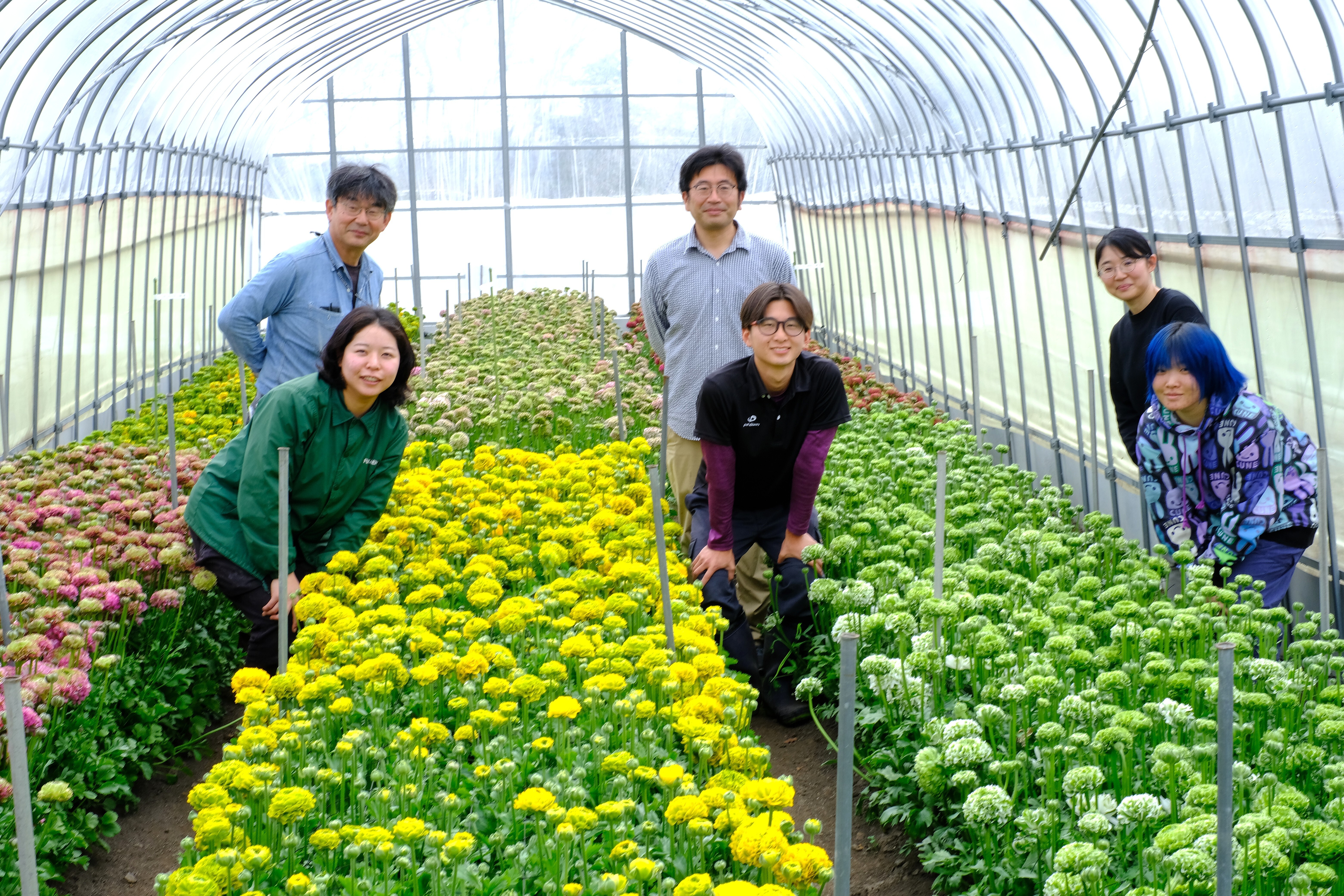 福花園種苗株式会社