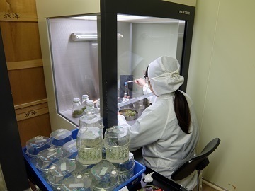 福花園種苗株式会社-4