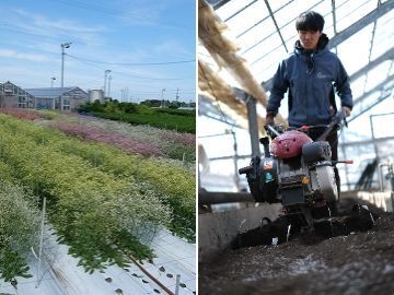 福花園種苗株式会社-3