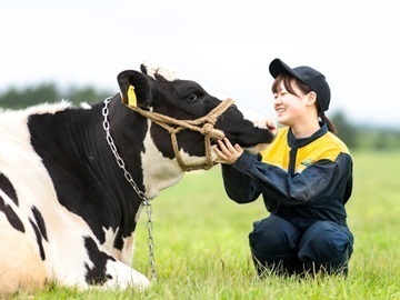 猿払村酪農ヘルパー有限責任事業組合-top