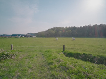 北海道猿払村×酪農/法人【42879】-8