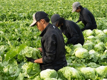 株式会社久保田農場-1