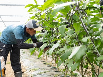 株式会社久保田農場-4