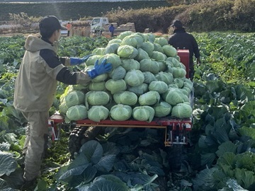 サグワットファーマーズ株式会社-3