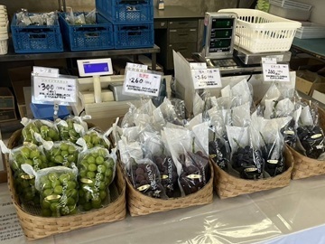 サグワットファーマーズ株式会社-6