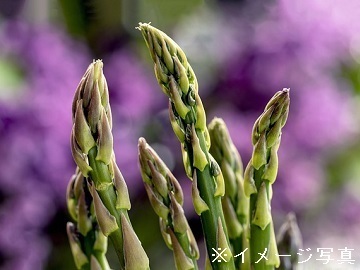 香川県綾川町×野菜・稲作/法人【33416】-top