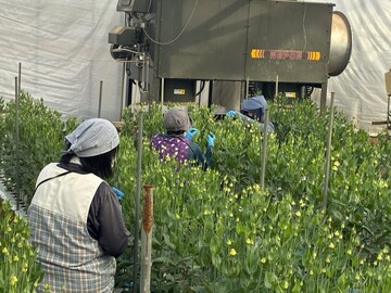 ベルズファーム-3