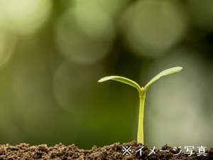 福島県猪苗代町×種苗/法人【42986】-top