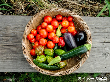 福島県猪苗代町×種苗/法人【42986】-1