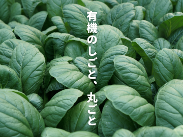 弥栄町複業協同組合-top