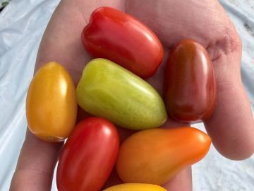 そらとま農園-3