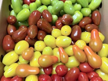 そらとま農園-7