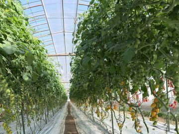 そらとま農園-4