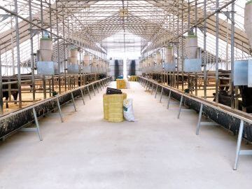 有限会社ブリーディング白老牧場-2