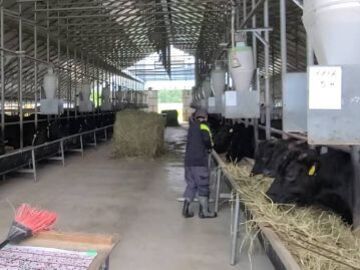 有限会社ブリーディング白老牧場-3