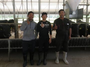 有限会社ブリーディング白老牧場-8