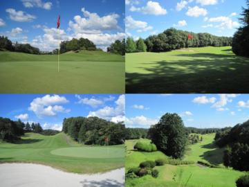 株式会社東京国際ゴルフ-3