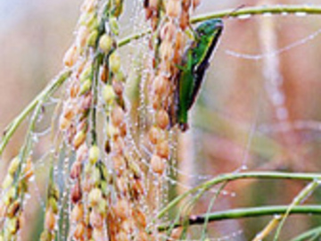 株式会社おきたま興農舎【山形県:営業】-2