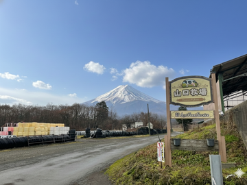 株式会社山口牧場(山梨県)-top