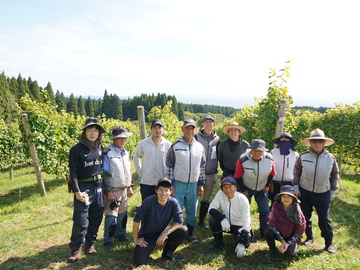 サッポロビール株式会社 北斗ヴィンヤード-8