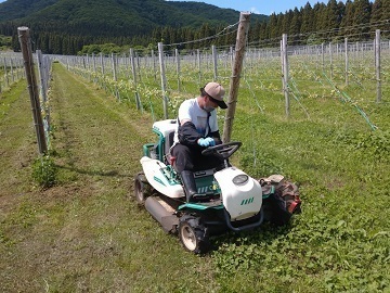 サッポロビール株式会社 北斗ヴィンヤード-1