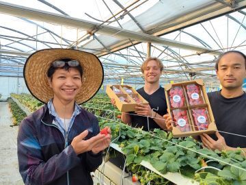 鎌倉山千葉農園株式会社-1