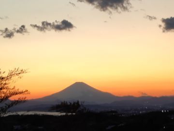 鎌倉山千葉農園株式会社-2