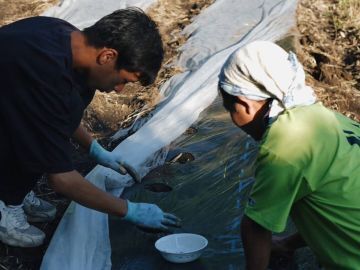 鎌倉山千葉農園株式会社-3