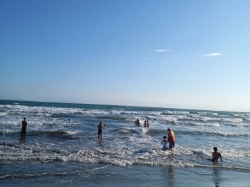 鎌倉山千葉農園株式会社-6