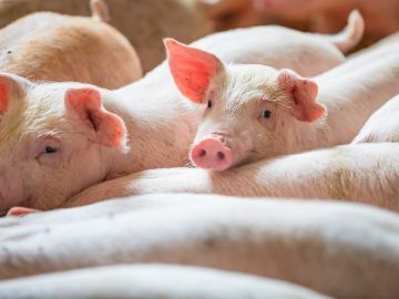 有限会社坂井ティエス-top