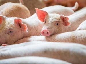 有限会社坂井ティエス-top