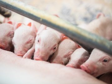 有限会社坂井ティエス-2