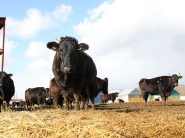 合同会社いわさきファーム-4