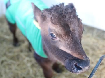 合同会社いわさきファーム-6