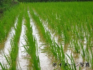 株式会社のうざんファーム-top