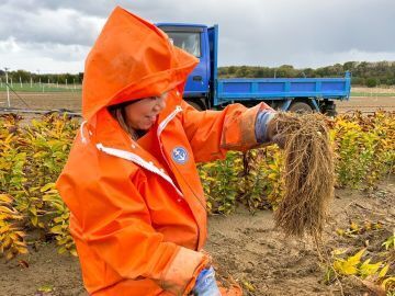 土橋農園(新潟)-top
